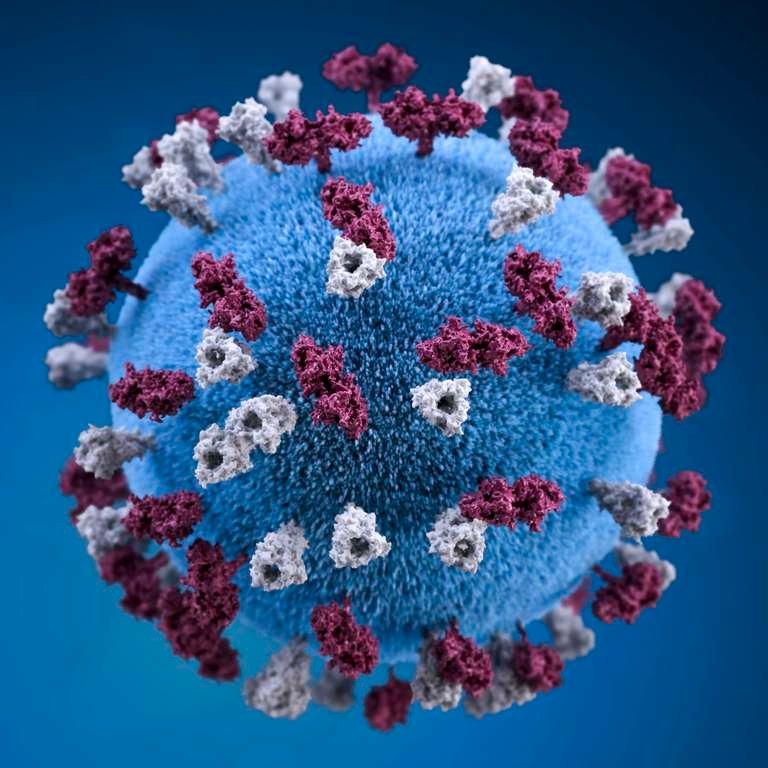 The man who saved thousands of people from Covid 1 covid-19-coronavirus-covid-cell-pandemic-corona-virus-1608799-pxhere.com