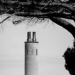 a tree next to a lighthouse