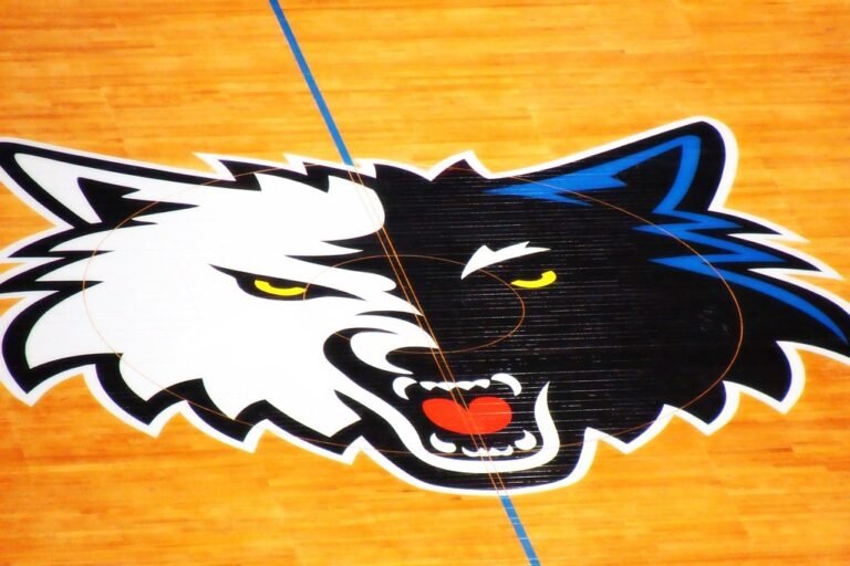Minnesota Timberwolves Center Court
