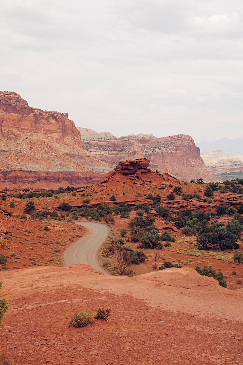 Trump Administration’s Federal Workforce Cuts Impact Arizona’s National Parks 1 brown rocky mountain during daytime
