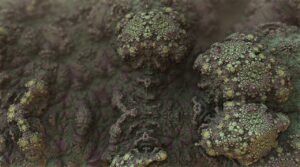 mold, bacteria, fungus, fungal, spores, mold, mold, mold, mold, mold, bacteria, bacteria