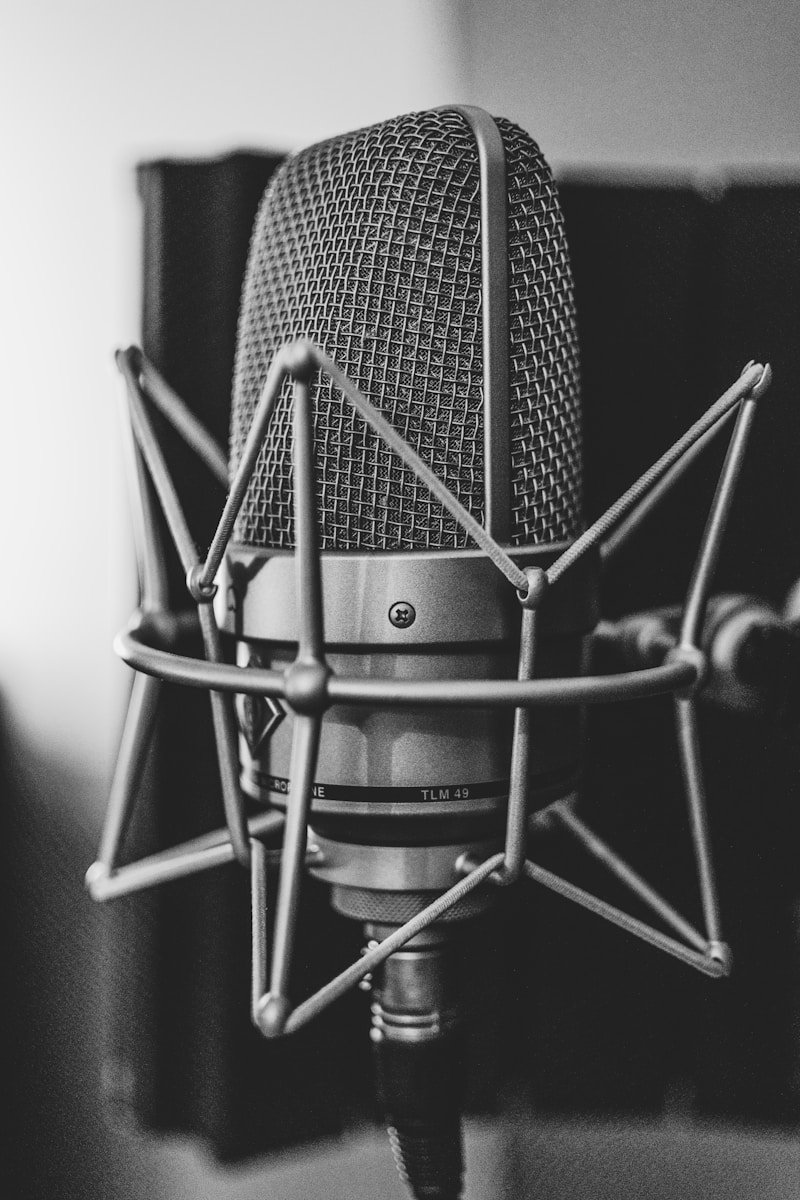 Indian Rapper Hanumankind Wows Audiences with Viral Hit 'Big Dawgs' Featuring Thrilling Beats and Daring Stunts 1 grayscale photography of microphone