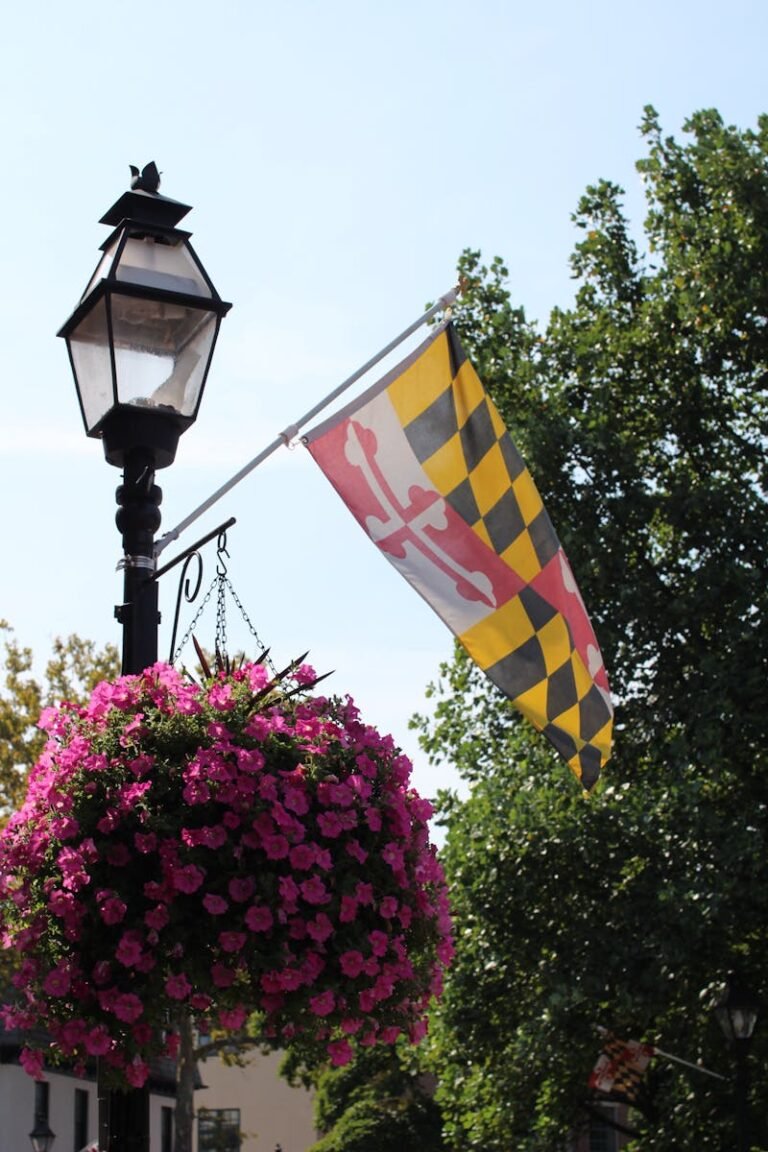 Street light and Maryland state flag adorned with vibrant pink flowers in Annapolis, MD.
