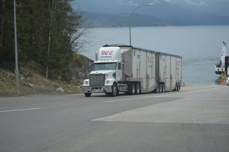 truck, lorry, white truck, cargo truck, big rig, transportation, vehicle, highway, lake, driving, nature, truck drivers, truckers, lorry driver, gray truck