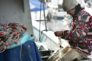 A fisherman meticulously tends to his nets on a boat early in the morning, emphasizing traditional fishing techniques.