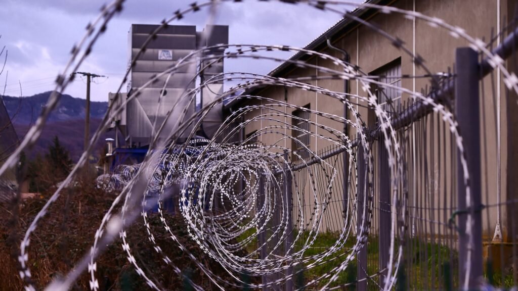 Justice Department Moves to Prevent Delays in Florida’s “Alligator Alcatraz” Immigration Detention Center Construction 1 stainless steel spiral bulb wire