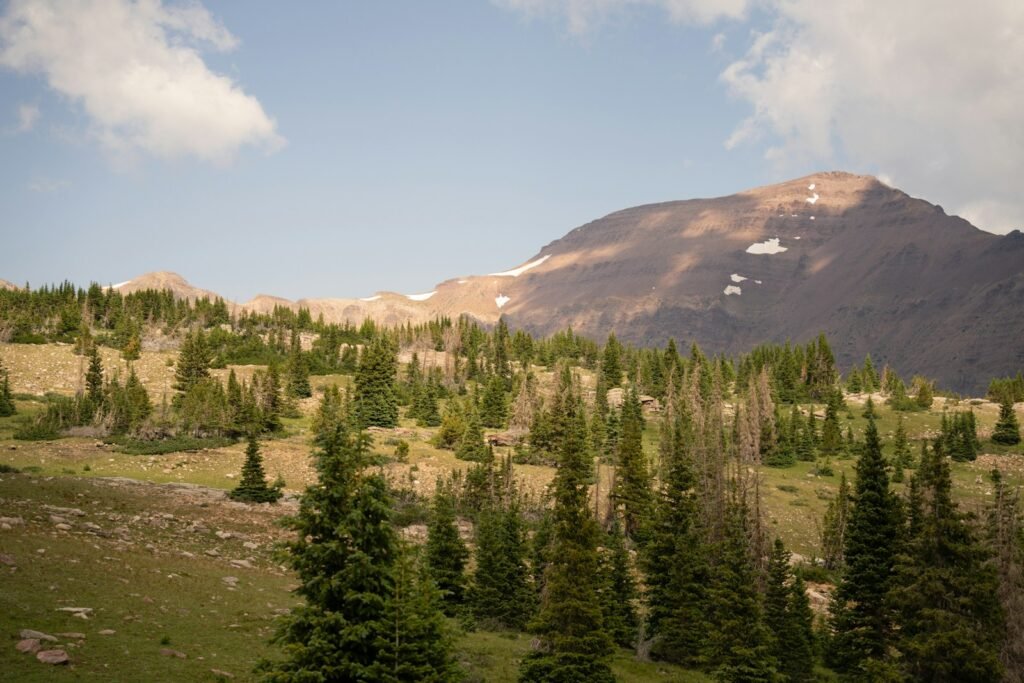 Senator Lee Withdraws Public Lands Sell-Off Proposal Amid Backlash, But Battles Continue 1 A view of a mountain with trees in the foreground