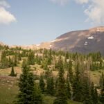 A view of a mountain with trees in the foreground