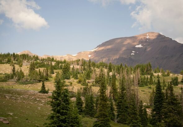 A view of a mountain with trees in the foreground, data center,