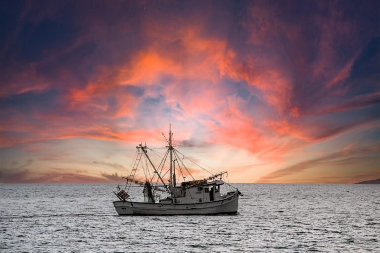 sunset, boat, ocean, boca grande, shrimper, nature, water, florida