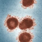 a group of brown circles sitting on top of a blue surface, virus, health