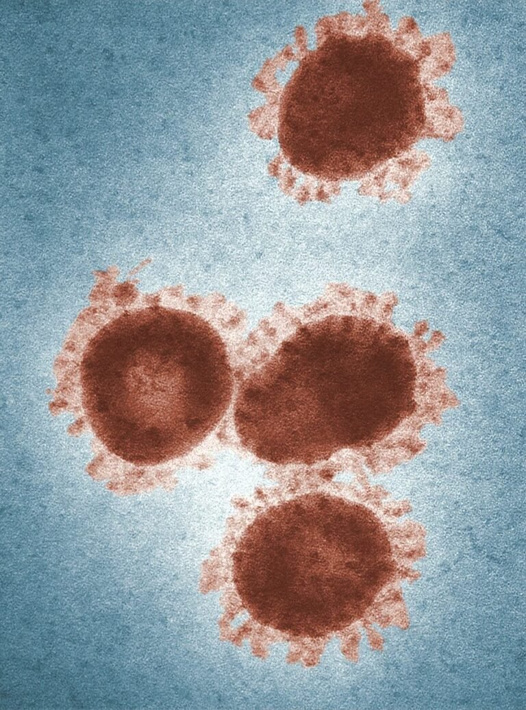 a group of brown circles sitting on top of a blue surface, virus, health