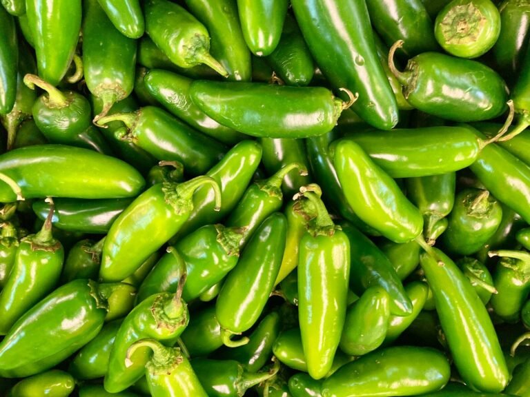 Salmonella Outbreak Linked to Jalapeños Triggers Recall of Pico de Gallo, Stuffed Mushrooms and Soup Mix in Texas and Louisiana 1 green chili peppers in close up photography, recall, recalls, health